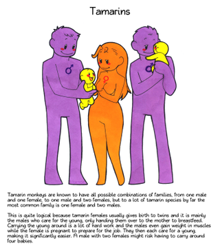 Illustration for article titled The weirdest mating habits of the animal kingdom, explained using humans